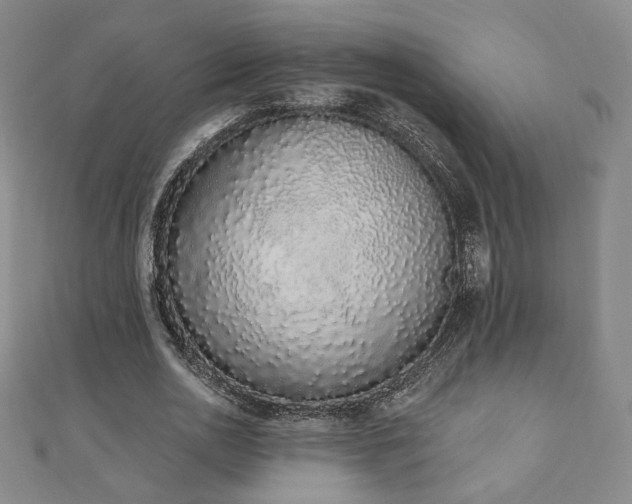 X0000110860726200906181141