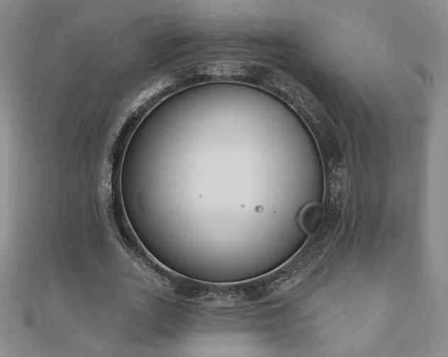X0000110860727200906181141