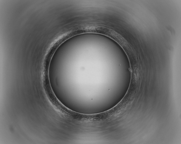 X0000110860728200906181141