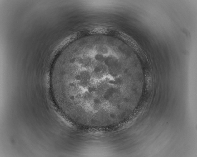 X0000110860729200906181141