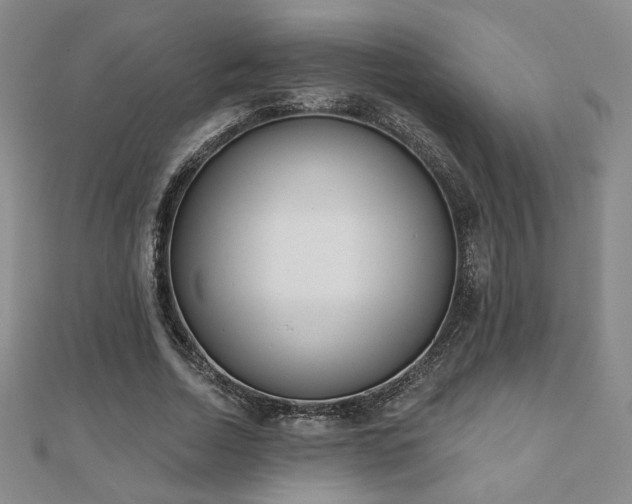 X0000110860730200906181141