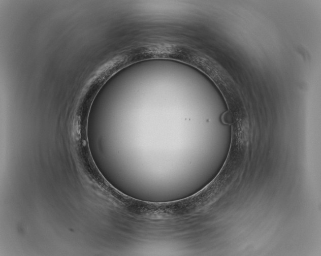 X0000110860731200906181141