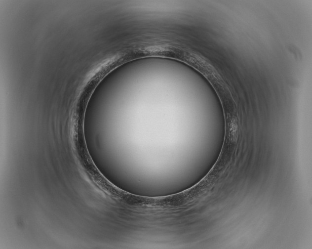 X0000110860732200906181141