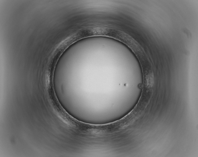 X0000110860733200906181141