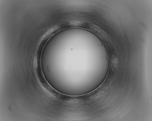 X0000110860734200906181141