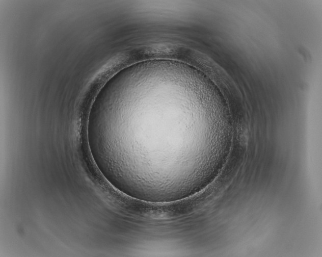 X0000110860735200906181141