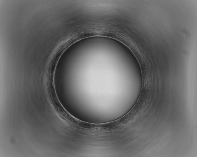 X0000110860736200906181141
