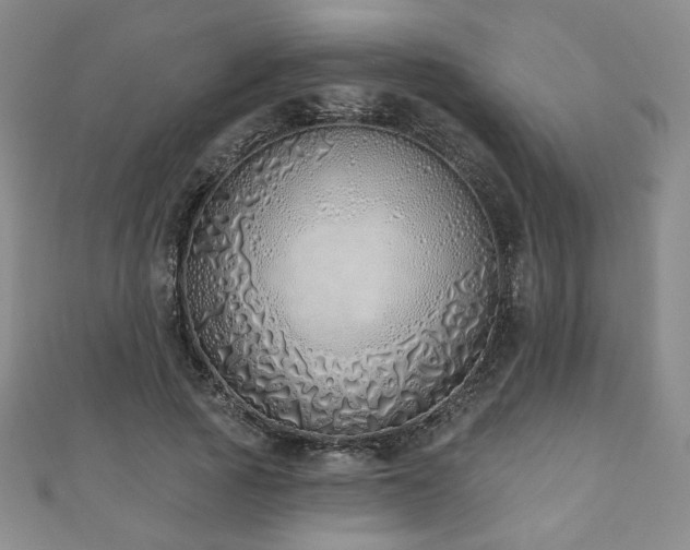 X0000110860737200906181141