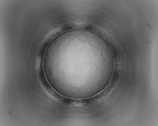 X0000110860742200906181141