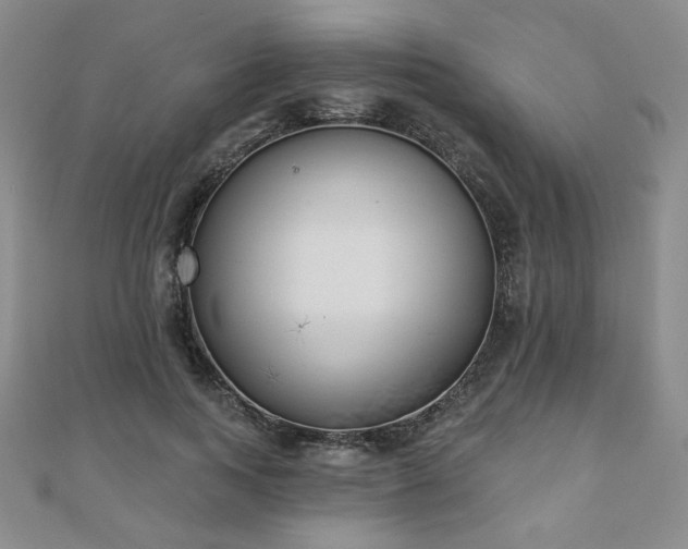X0000110860743200906181141