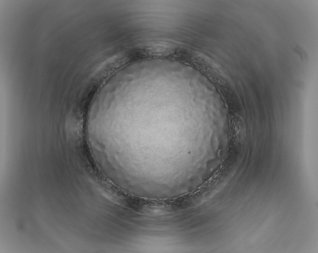 X0000110860745200906181141