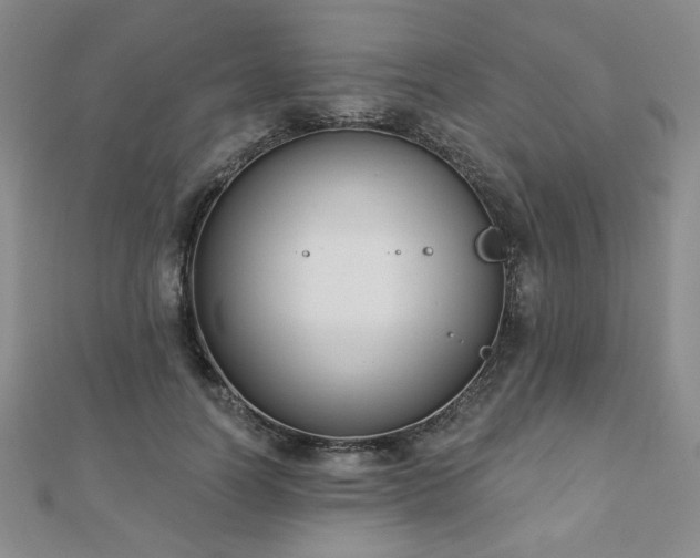 X0000110860746200906181141