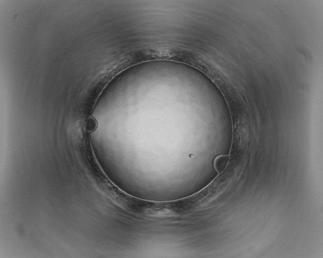 X0000110860747200906181141