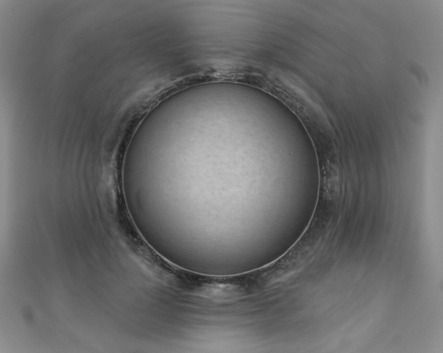 X0000110860748200906181141