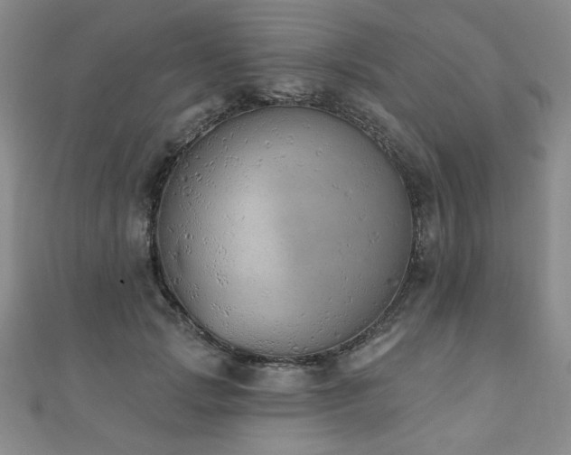 X0000110860749200906181141