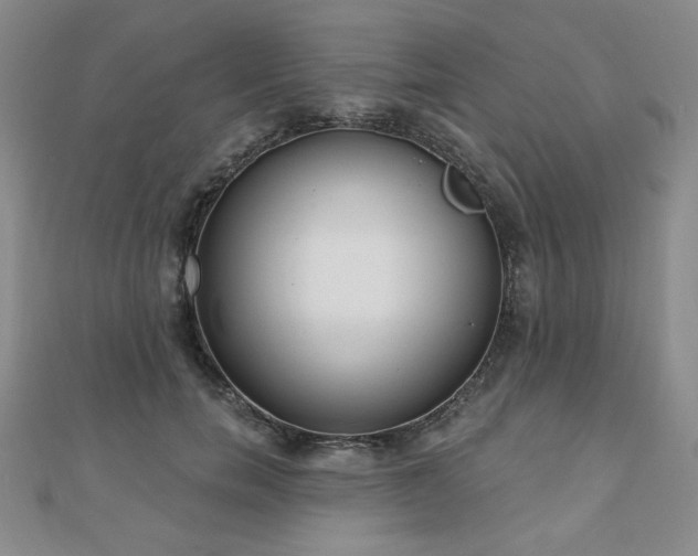 X0000110860750200906181141