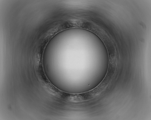 X0000110860752200906181141
