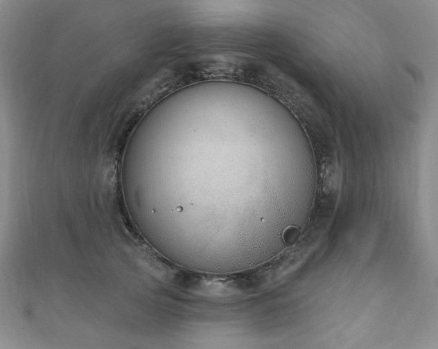 X0000110860753200906181141