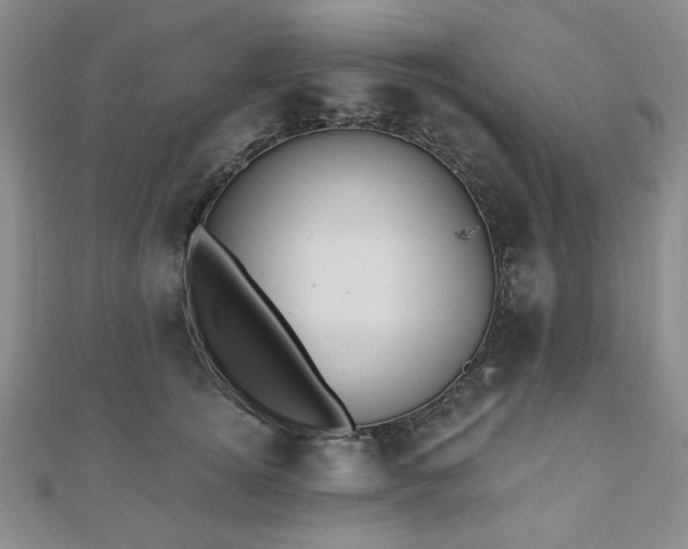 X0000110860756200906181141