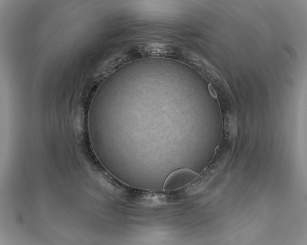 X0000110860760200906181141