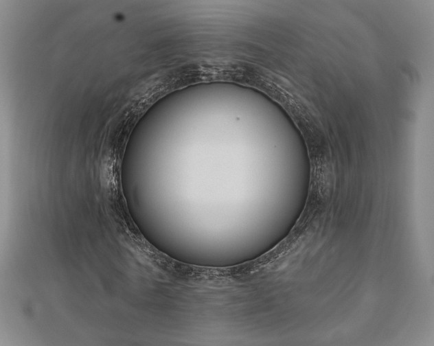X0000110860770200906181140