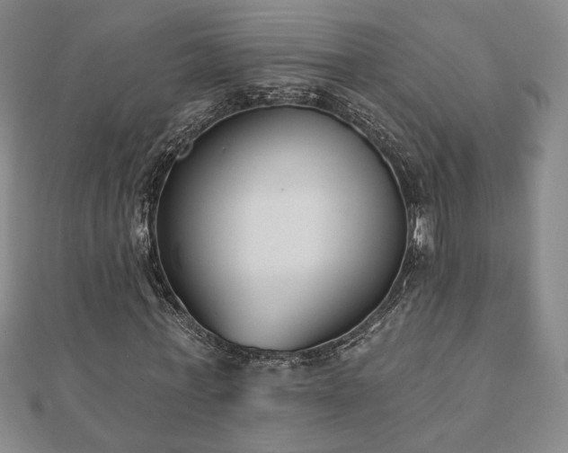 X0000110860771200906181140