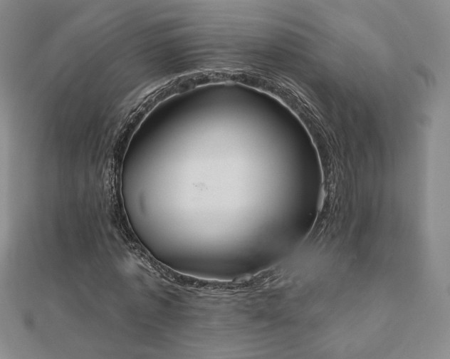 X0000110860773200906181140