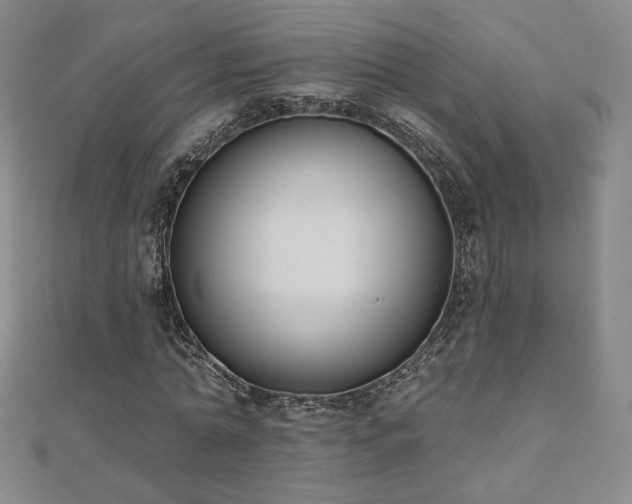 X0000110860774200906181140