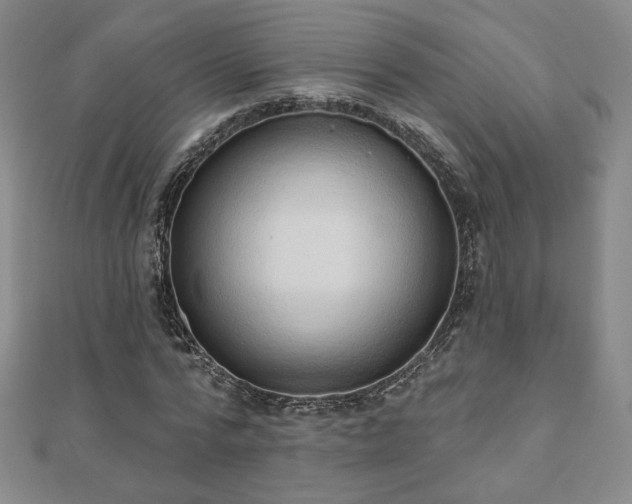 X0000110860776200906181140