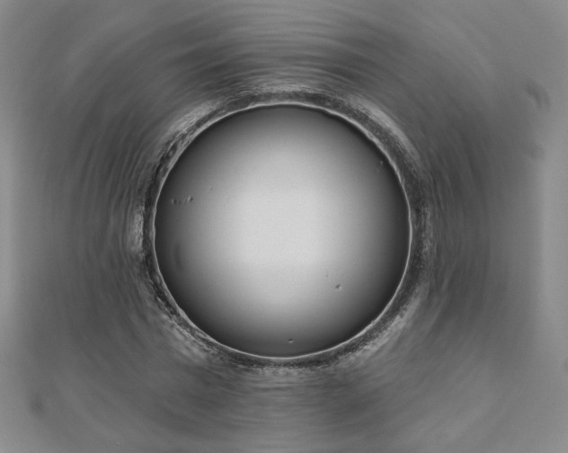 X0000110860777200906181140
