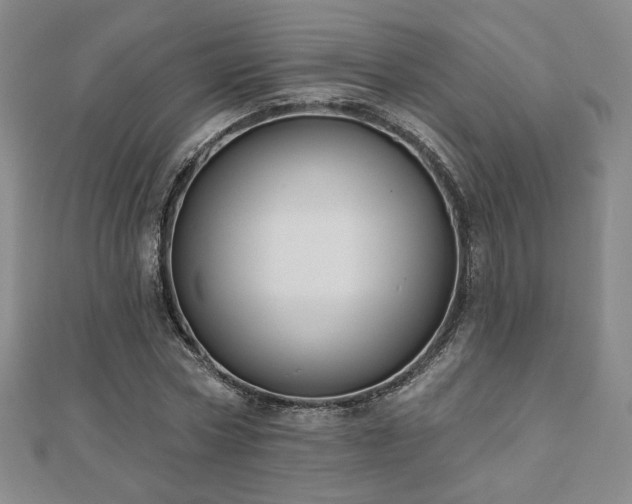 X0000110860778200906181140