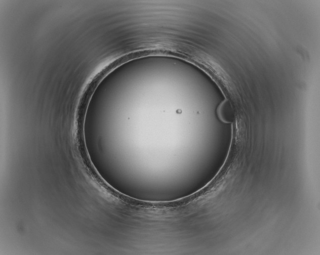 X0000110860780200906181140