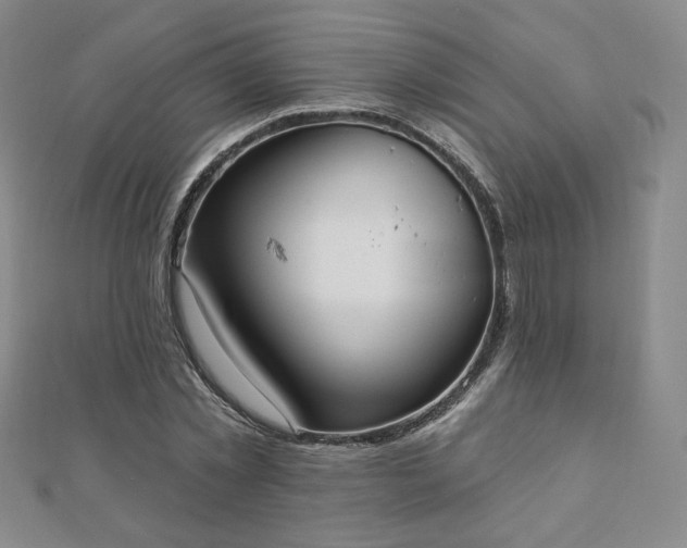 X0000110860781200906181140