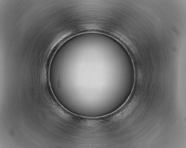 X0000110860782200906181140