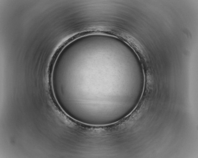X0000110860784200906181140