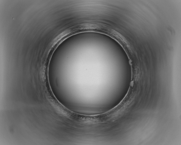 X0000110860786200906181140