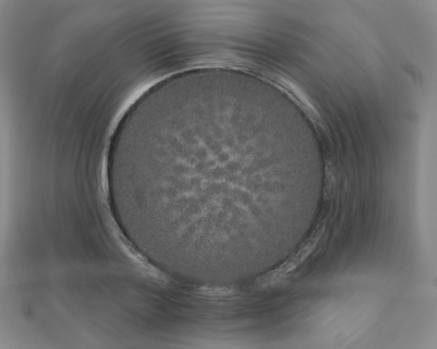 X0000110860788200906181140