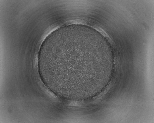 X0000110860790200906181140