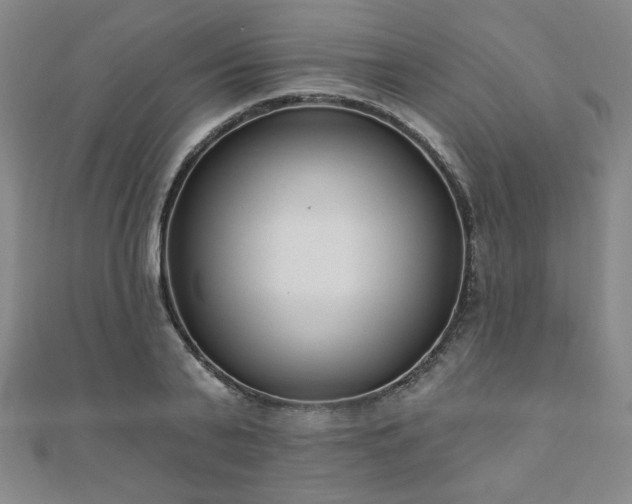 X0000110860791200906181140