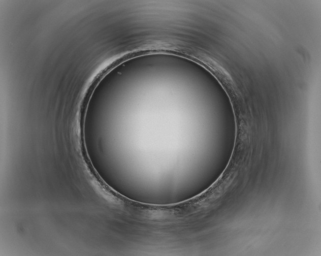 X0000110860792200906181140