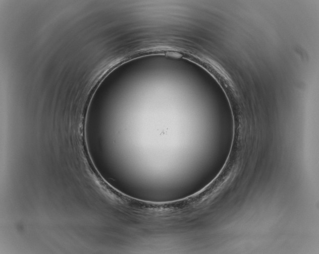 X0000110860793200906181140