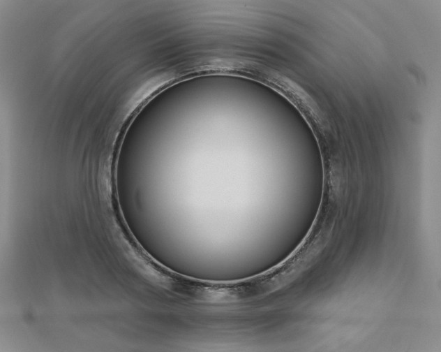 X0000110860794200906181140