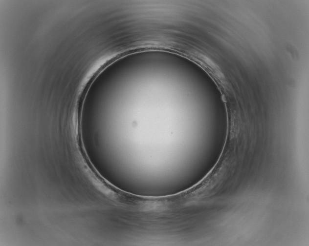 X0000110860796200906181140