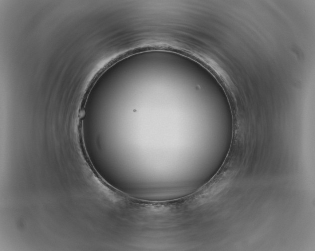 X0000110860799200906181140
