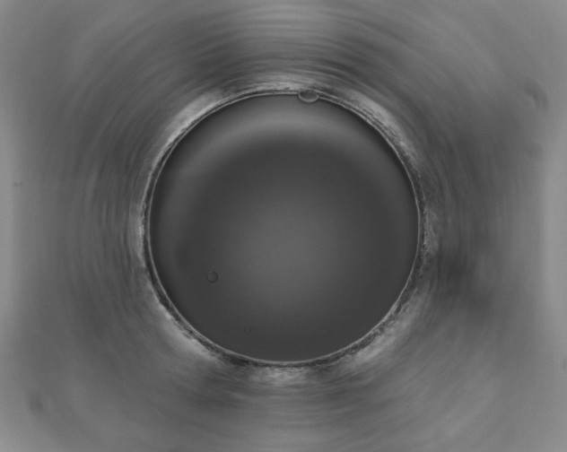 X0000110860802200906181140