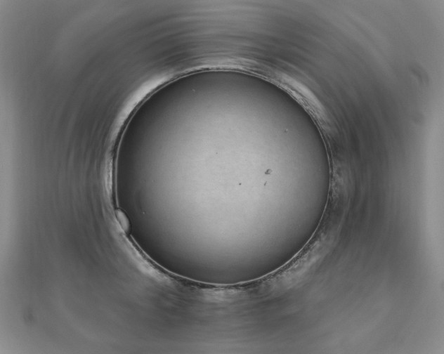 X0000110860804200906181140
