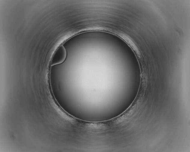 X0000110860805200906181140