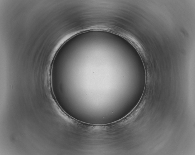 X0000110860808200906181140