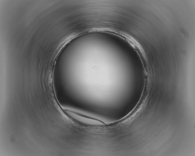 X0000110860809200906181140