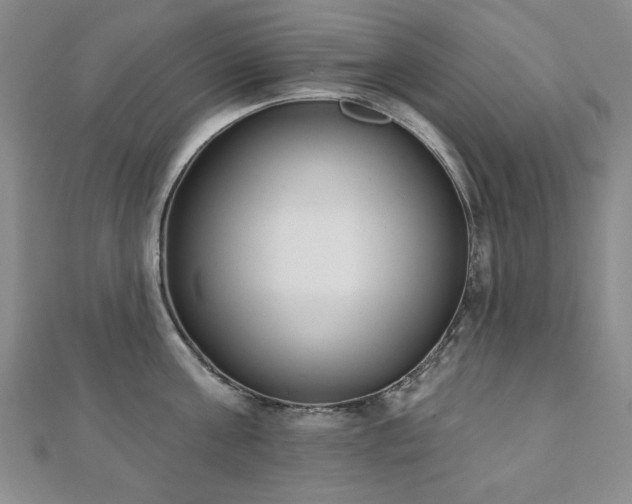 X0000110860811200906181140